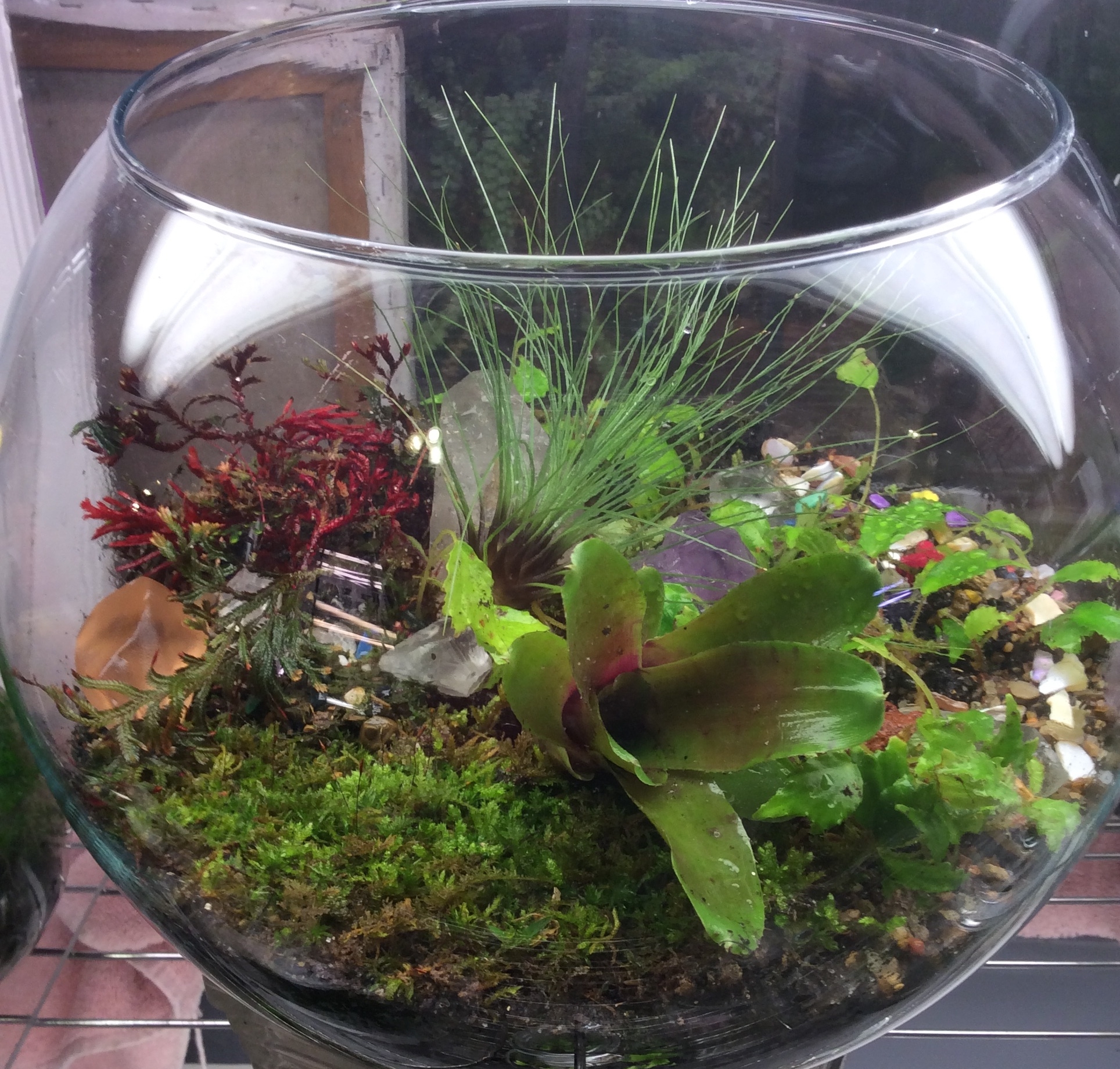Build Your Own Terrarium March 10 and 11, 2018